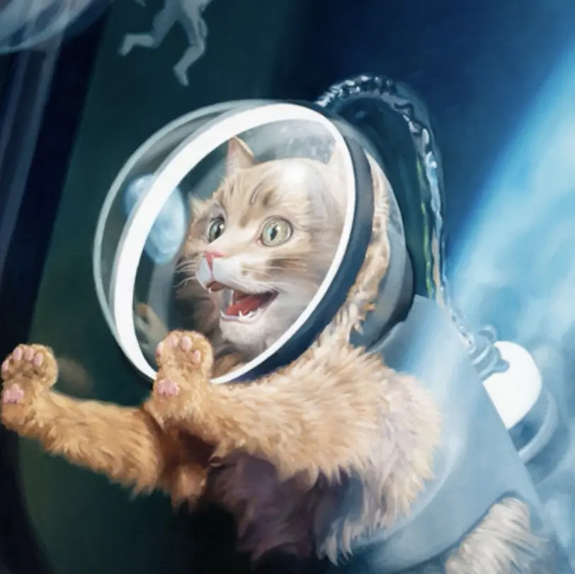 astronaut cat